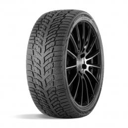 Doublestar Winterking DW08 215/55R17 98T